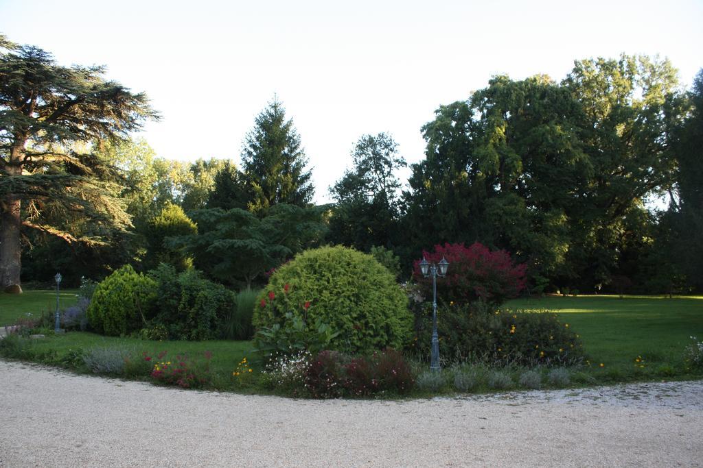 Chateau Castelrives Bessières Pokój zdjęcie